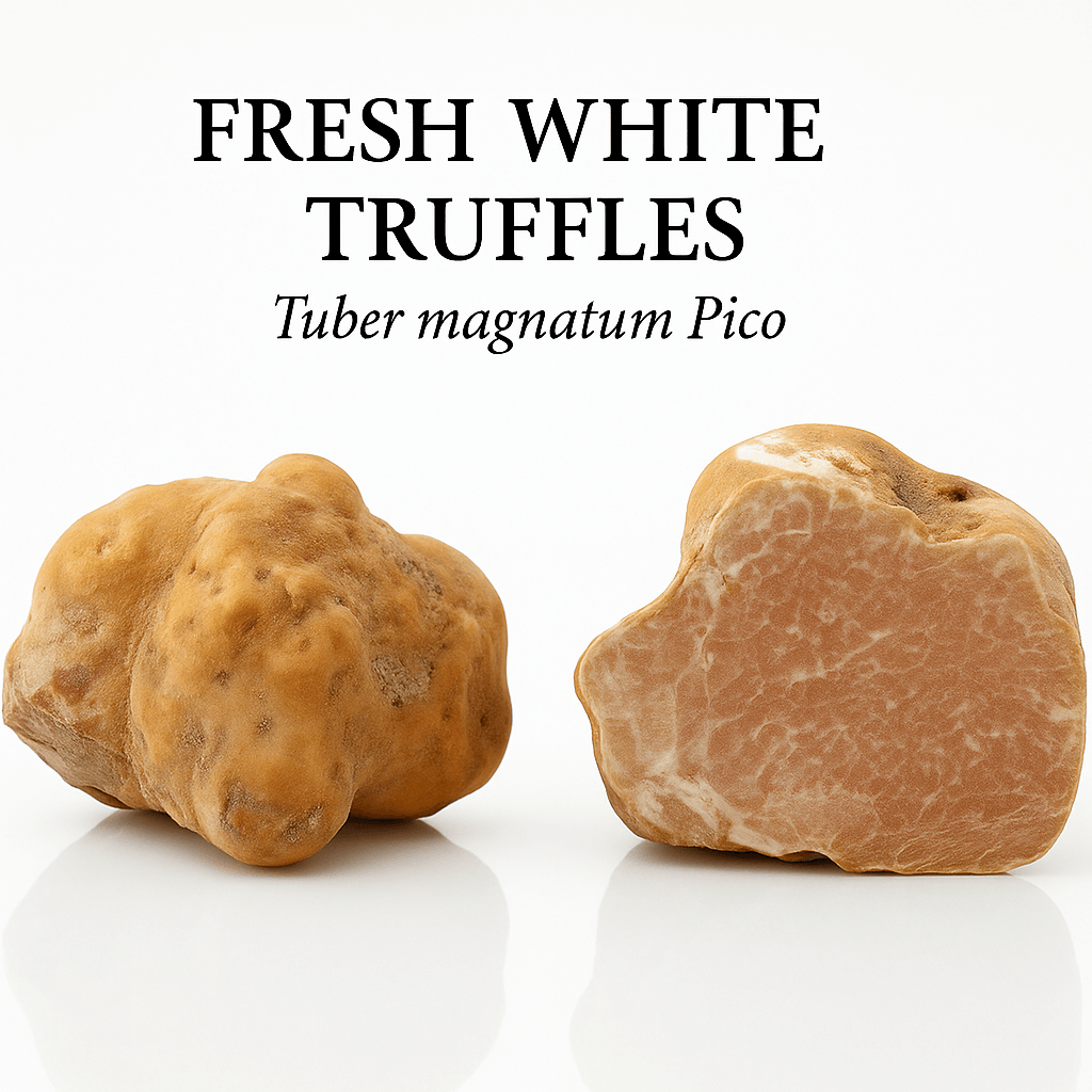 fresh white truffles tuber magnatum pico 