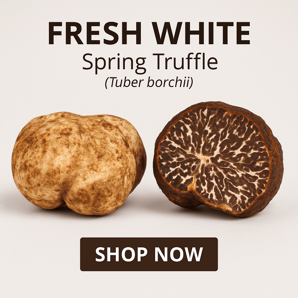 Fresh White Spring Truffles – Premium spring truffles for chefs and fine cuisine